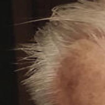 Russell Arthur Lindquist Obituaries Santamariatimes Com