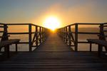 Exploring the waves of optimism | Ron Colone