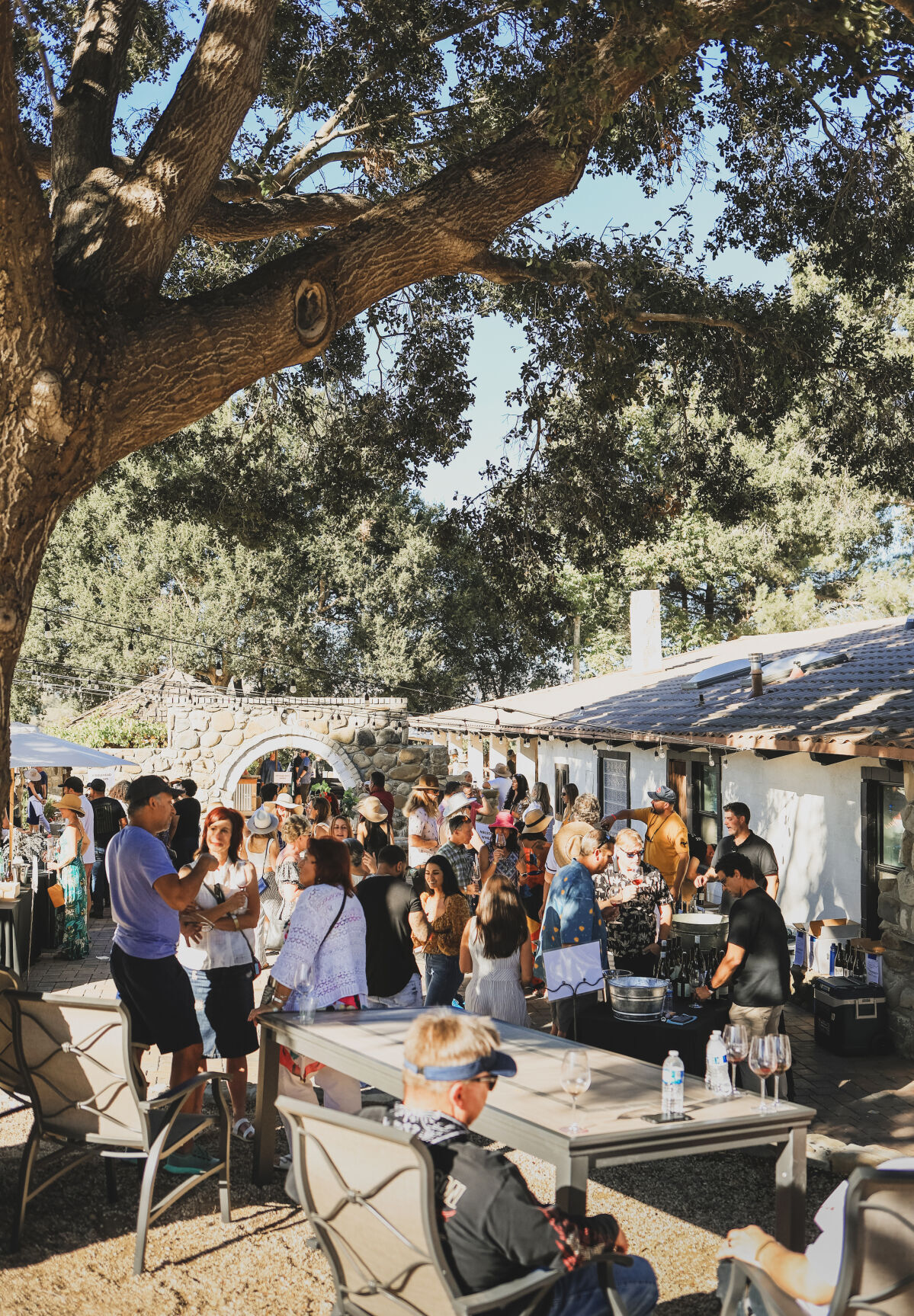 The 39th Annual Main Street Festival