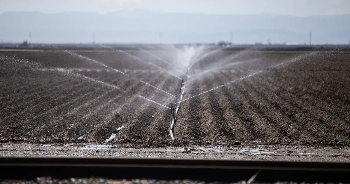 California’s future water supplies depend on the outcomes of four intertwined battles | Dan Walters