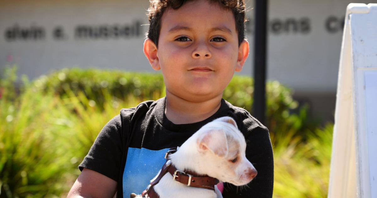 CARE4Paws continues to help Central Coast families look after their pets |  local news