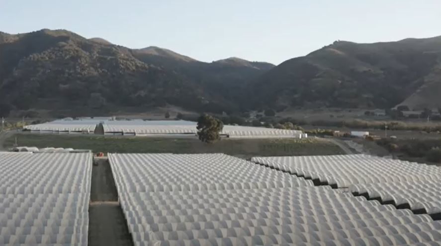 Central Coast Agriculture site