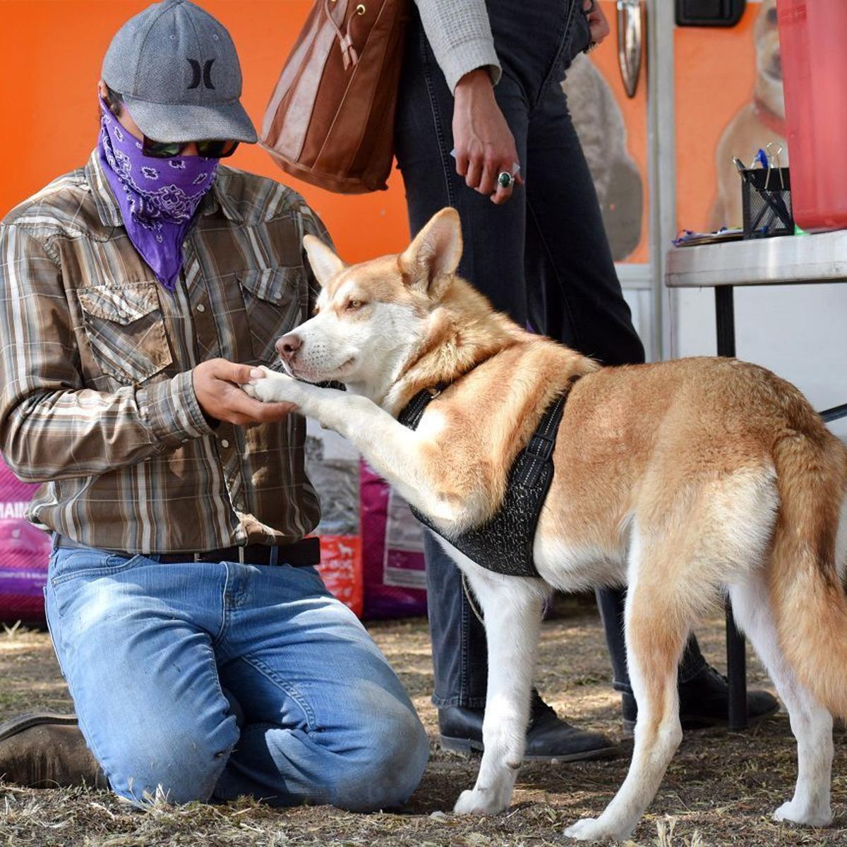 . expands its mobile clinics to SLO County, first events set in Nipomo | Local News . expands its mobile clinics to SLO County, first events set in Nipomo | Local News