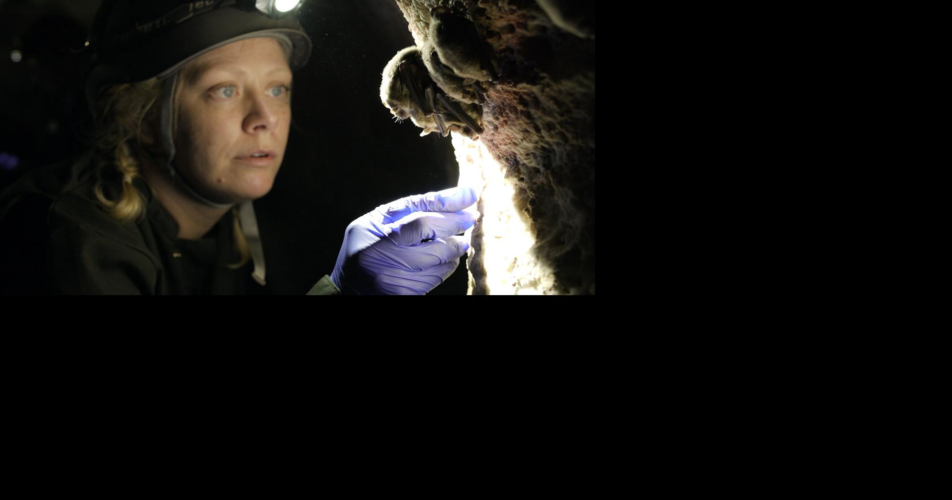 NatureTrack hosts documentary screening in recognition of International ...
