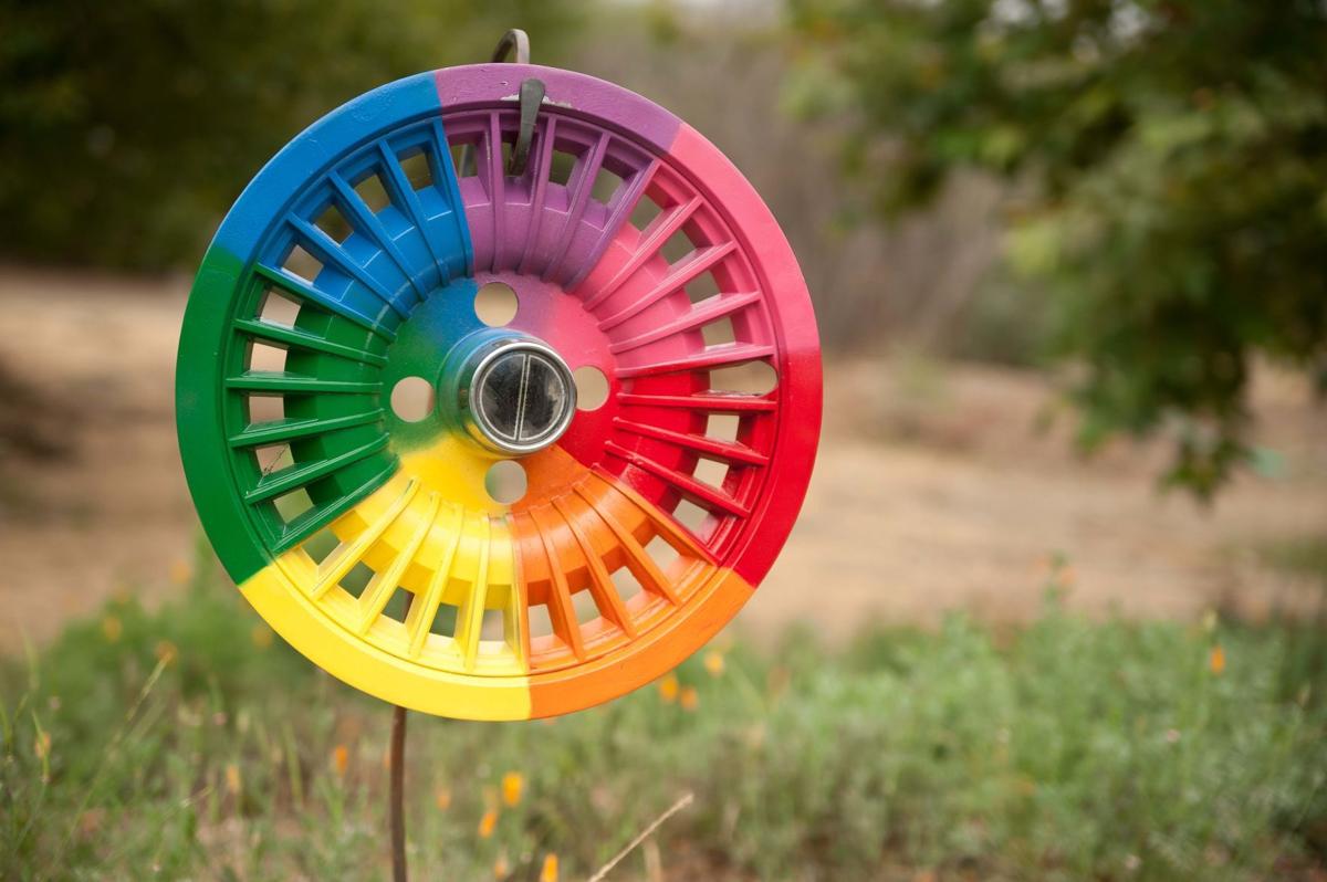 071620 Wildling Museum hubcap project