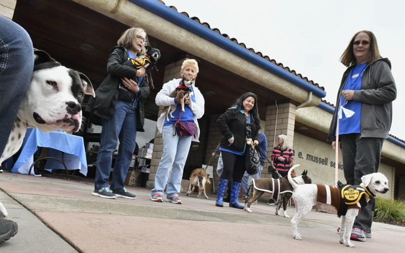 Santa Maria hosts adoptable dogs, mobile vet clinic event for Valentine's  Day | Local News 