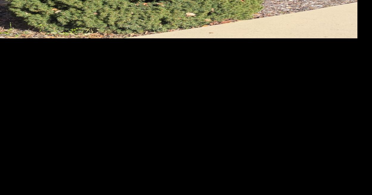 Microclimates are different from climates | Tony Tomeo