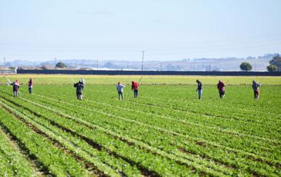 020221-smt-news-farm-workers-003