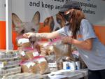 090220 care for paws 002