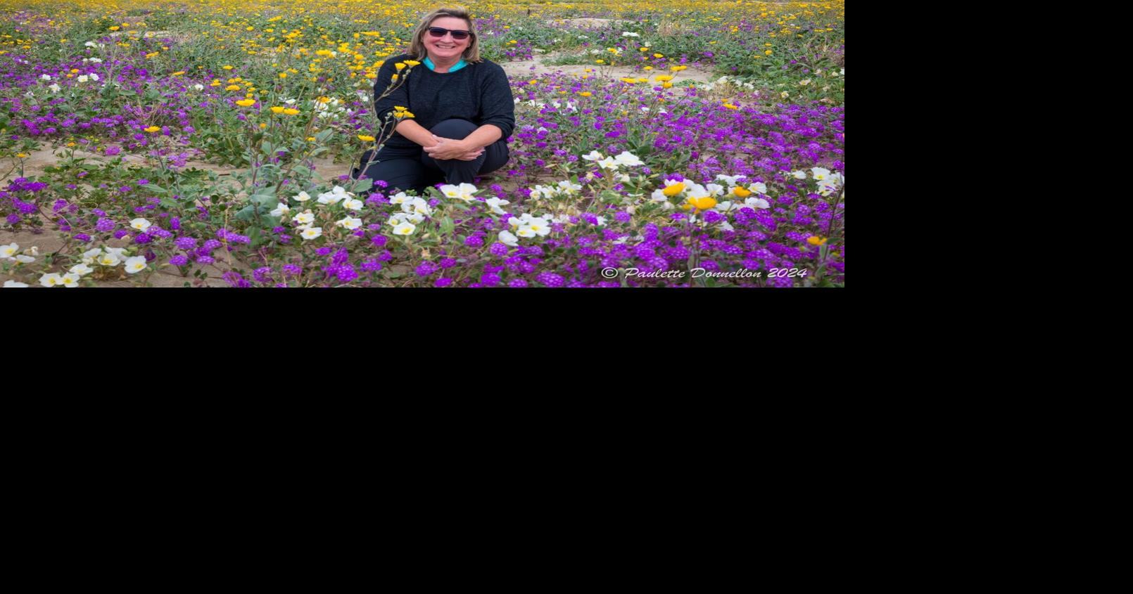 Desert Magic: Photographer Paulette Donnellon's Solvang Exhibit
