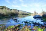 Judith Dale: The mighty Santa Ynez River