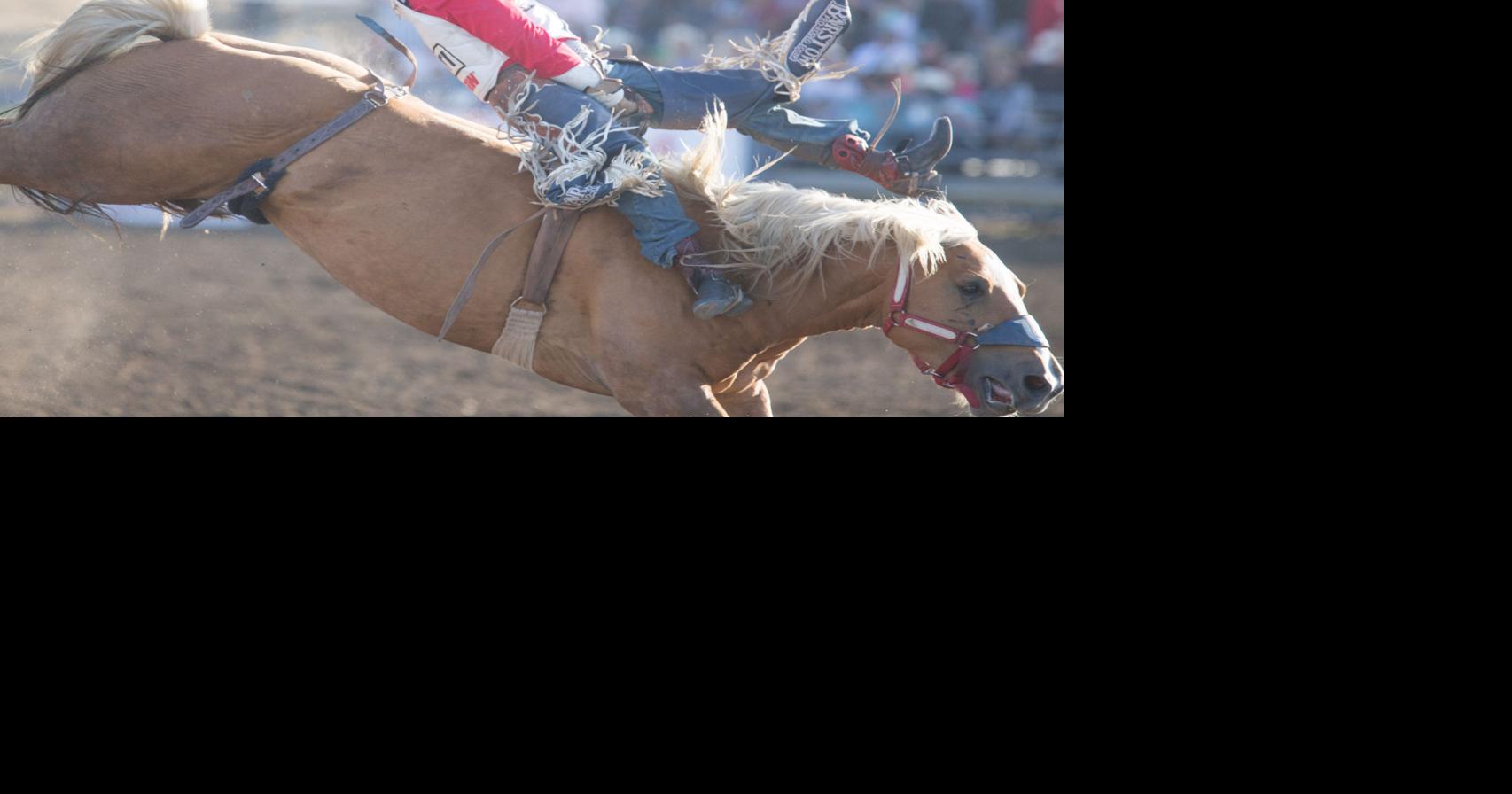 Scharton Team wins on wild night at rodeo | Sports | santamariatimes.com