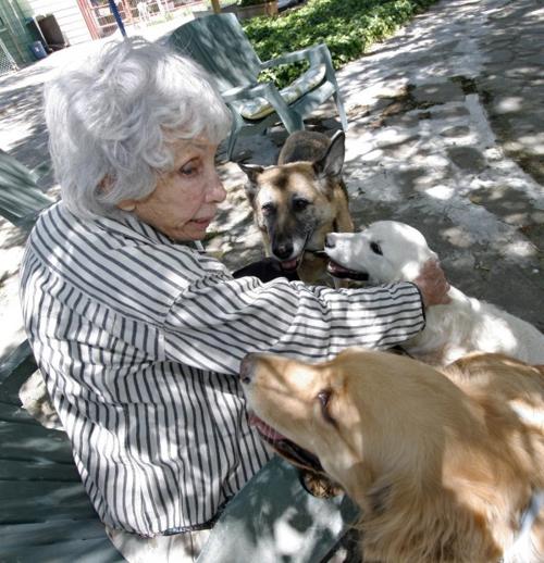 Hobe To Be Honored For Canine Rescue Work Local News