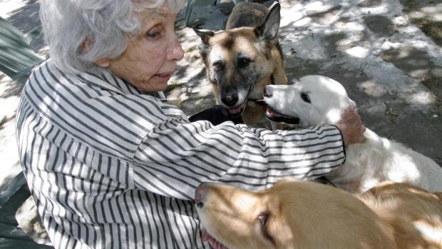 Hobe To Be Honored For Canine Rescue Work Local News Santamariatimes Com