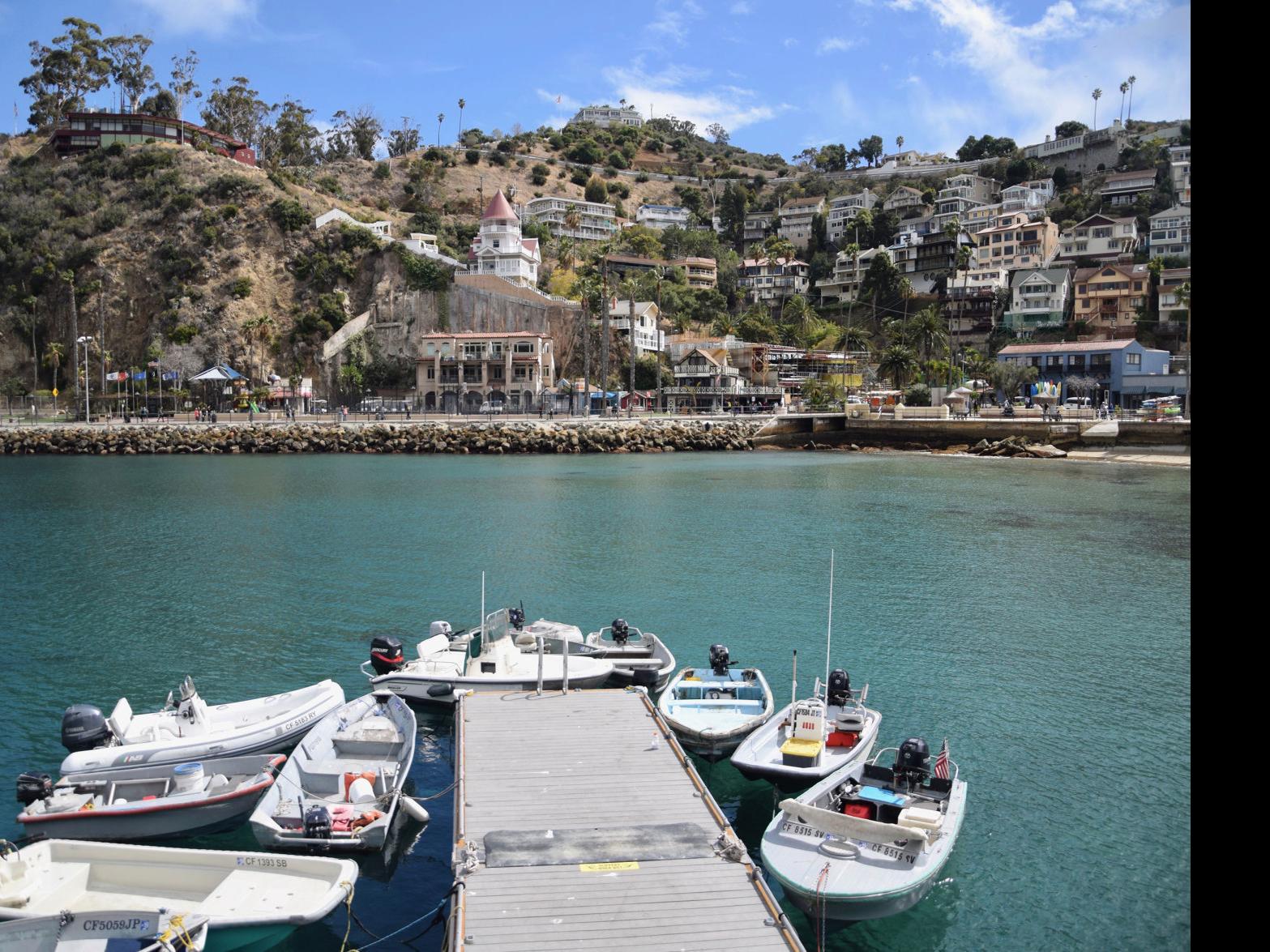 Judith Dale Santa Catalina Island Yesterday And Today Lifestyles Santamariatimes Com