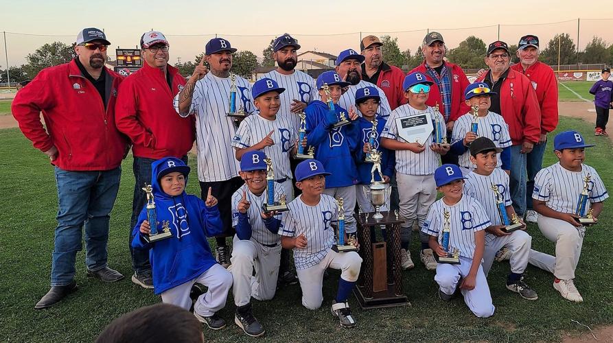 Little League: Westside Dodgers claim Valley title in Minors