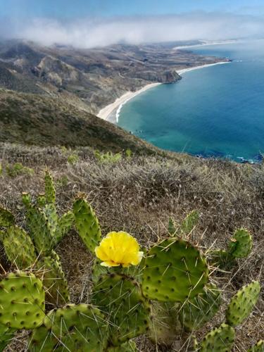 Point Sal Ridge Shirley Contreras: Pt. Sal, once scene of activity for shipping, now is ...