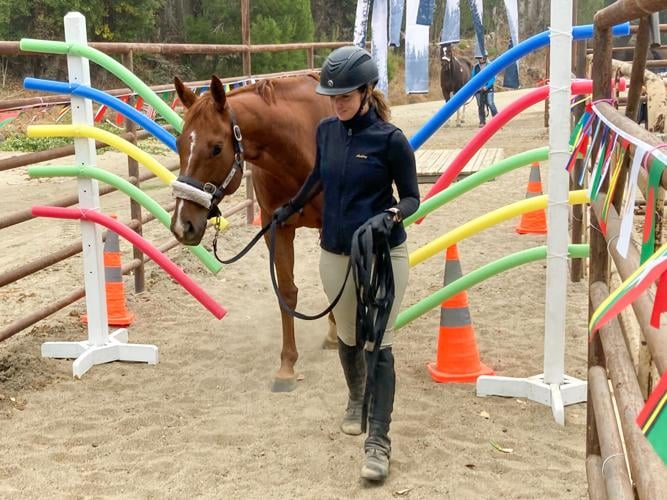 How to Desensitize a Horse