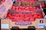Santa Barbara County's No. 1 sweet crop: strawberries | Judith Dale