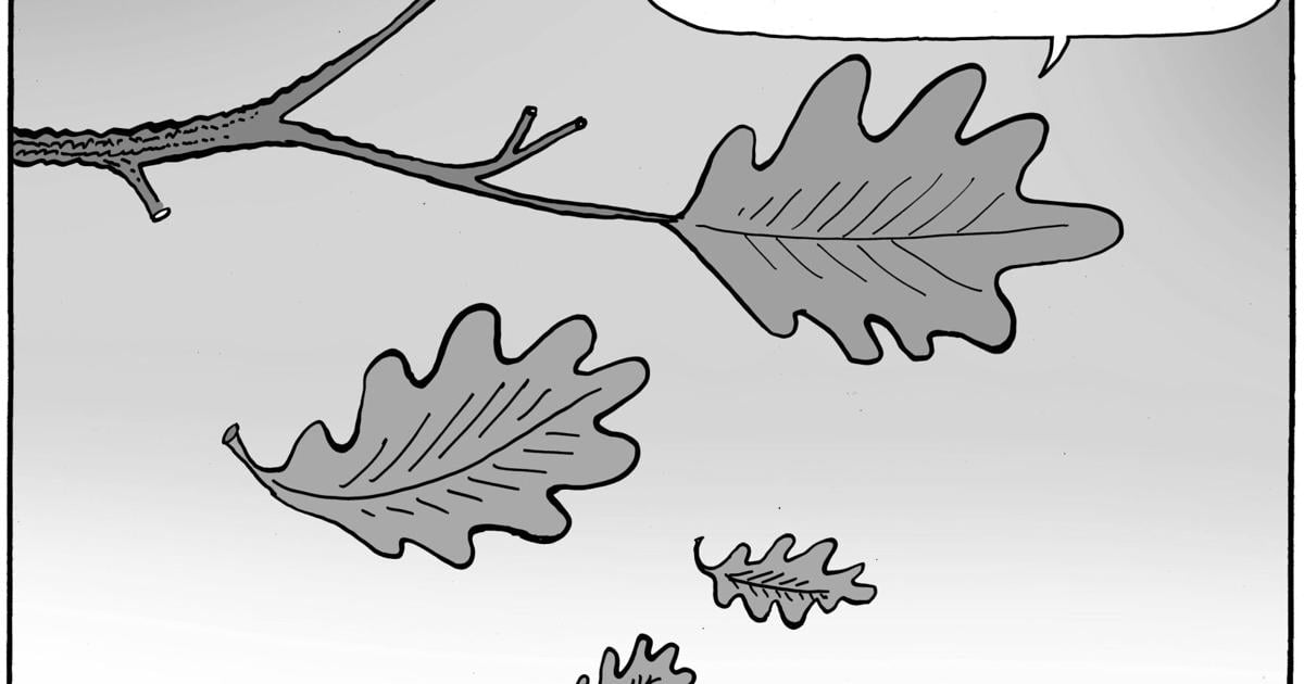 Bad Error Code Editorial Cartoon: Leaf sticking around | Opinion | santamariatimes.com
