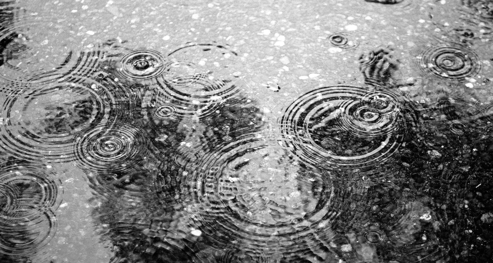 Nera Bowl Large-Rain Drops White On Black