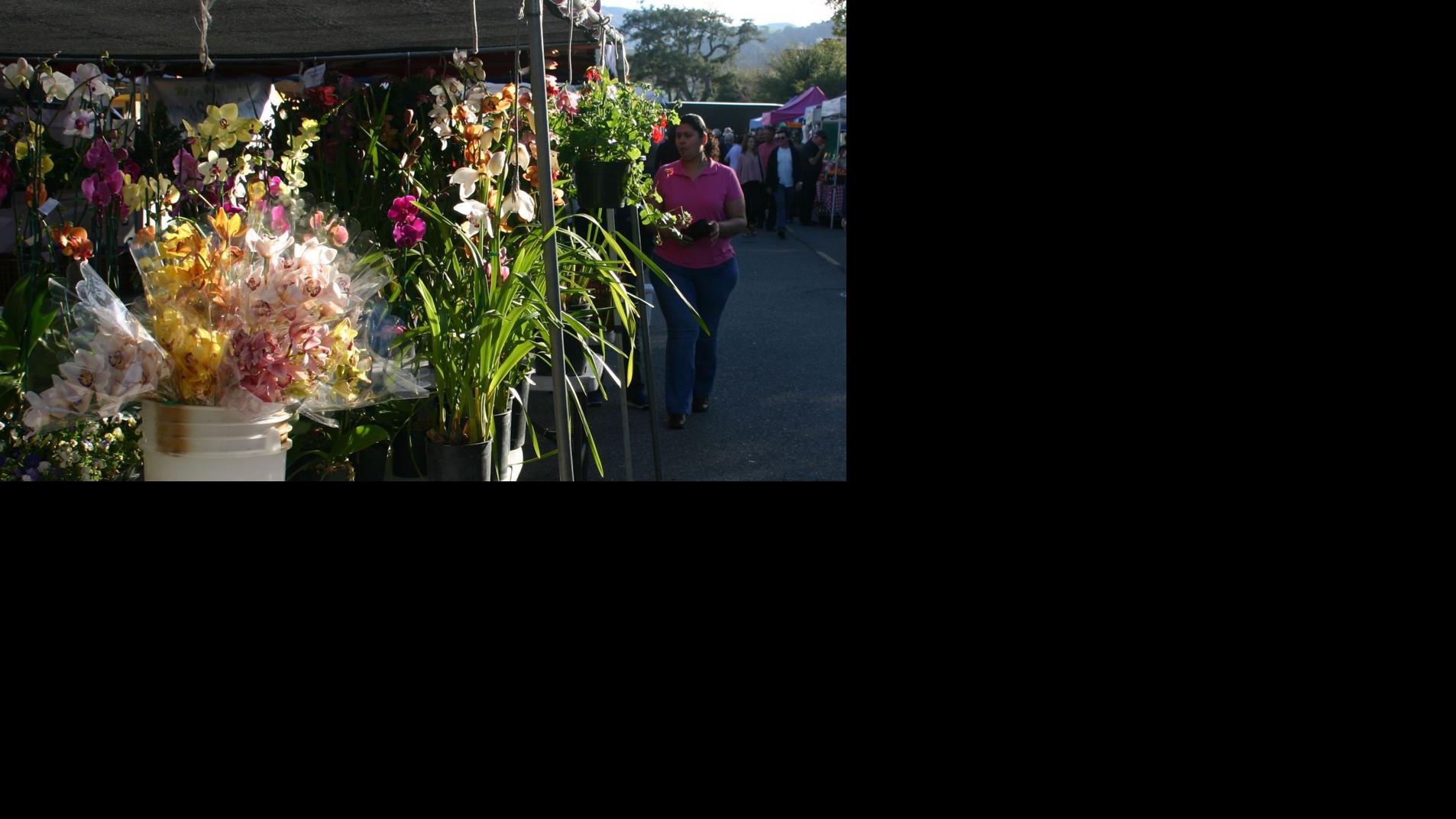 At the Farmers Market Rain put a damper on things, but we're up and