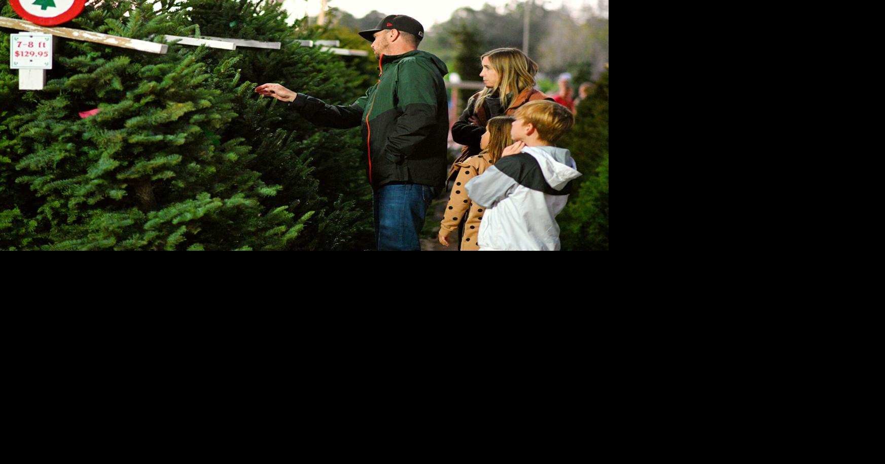 Holloway's Christmas Tree Farm in Nipomo offers family fun through the ...