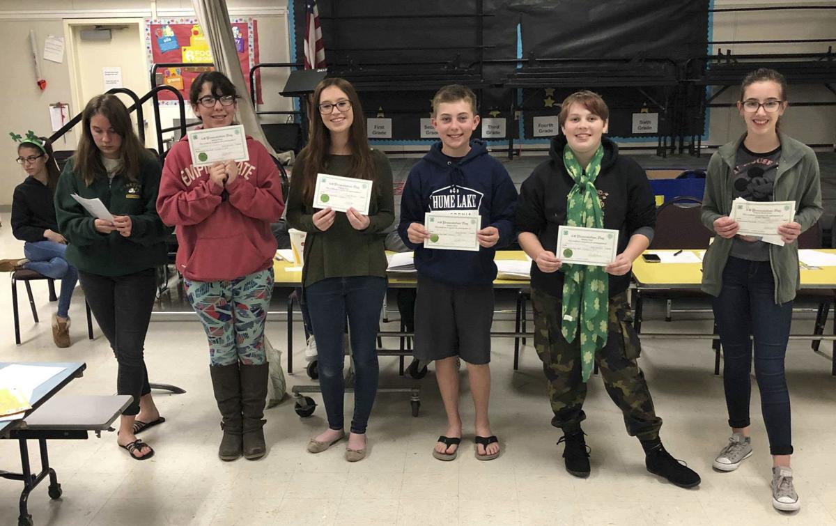Vineyard 4-H County Presentation Day gold winners