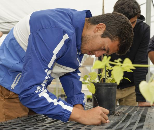 Annual Greenhouse Growers Association Open House returning to Nipomo