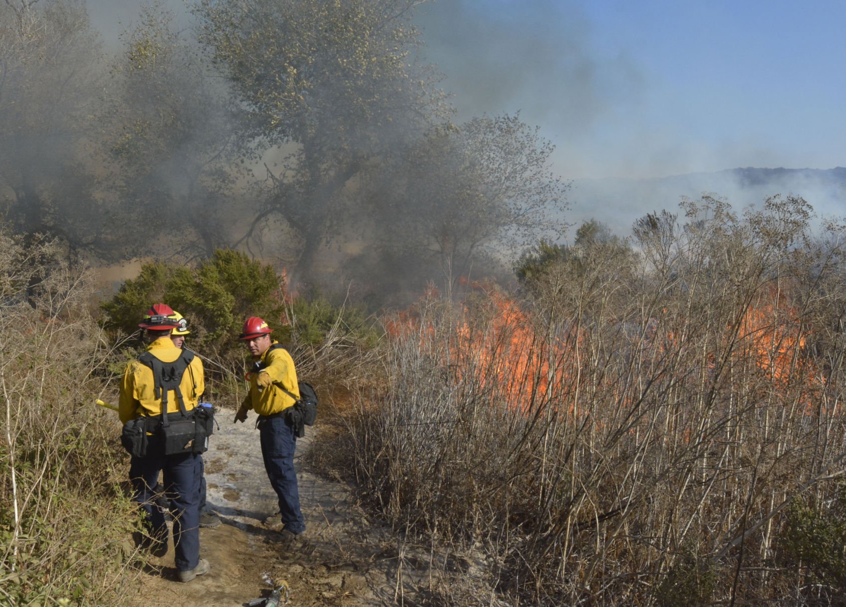 Lompoc Firefighters Battle Riverbed Blaze | Local News ...