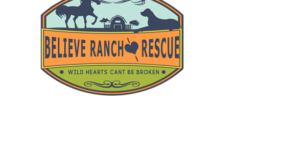 Believe Ranch and Rescue in Santa Ynez hosting 5K run/walk benefitting abused, neglected horses - Vimarsana News