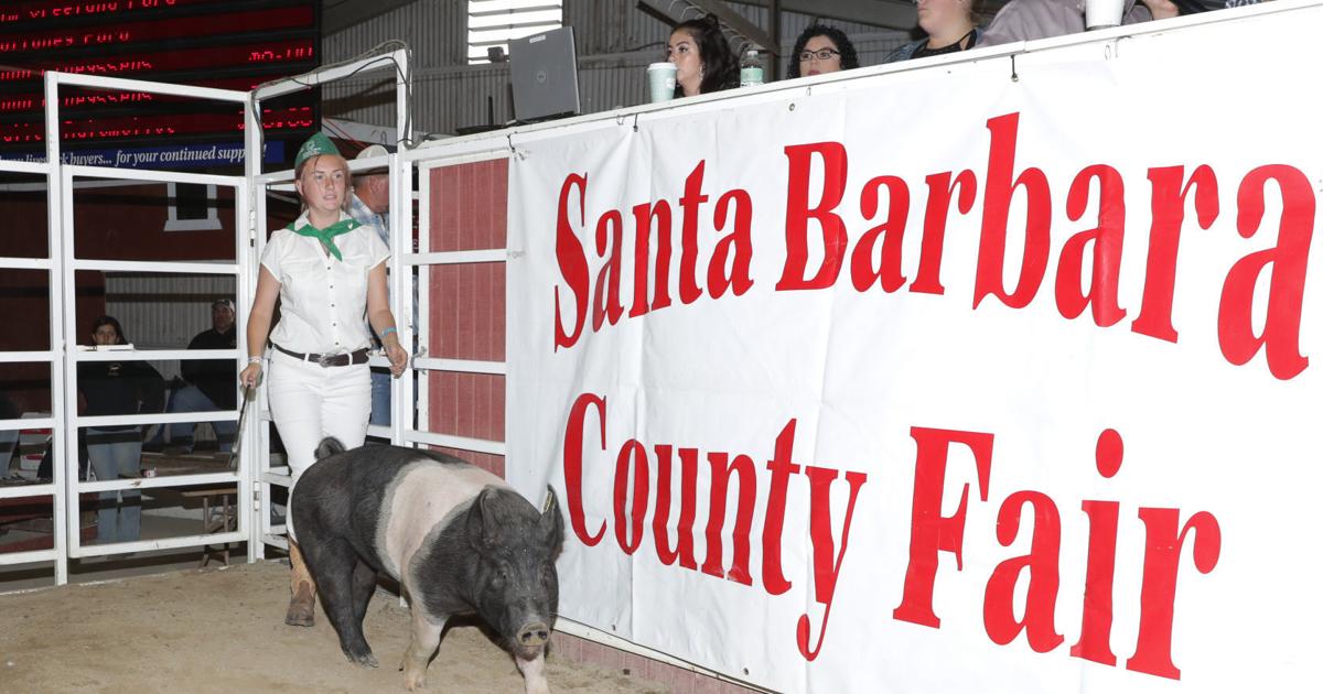 Santa Barbara County Fair 2025