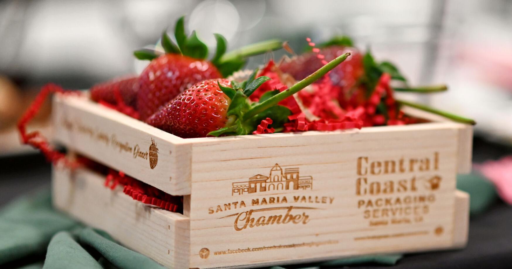 Santa Maria Valley Chamber holds annual Strawberry Industry Appreciation Dinner Friday | Photos - Vimarsana News
