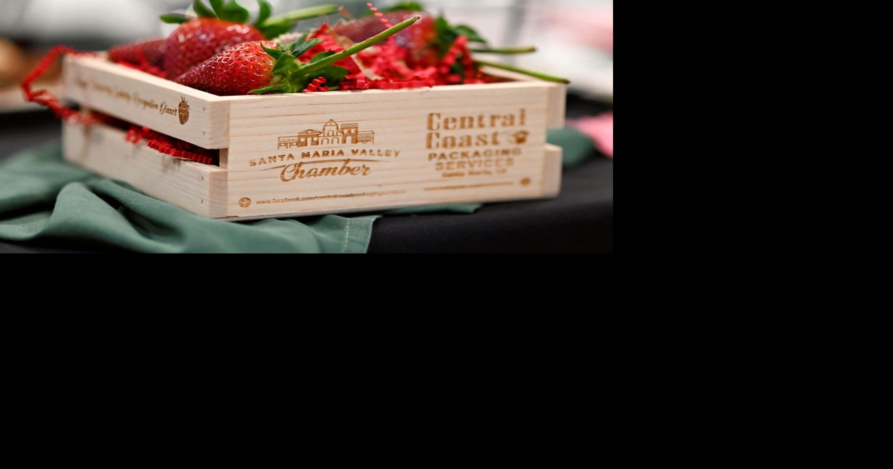 Strawberry Industry Recognition Dinner to honor agriculture’s women leaders