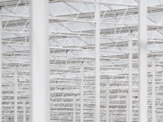 High Tech Hydroponics Coming To Sm Local News Santamariatimes Com