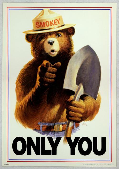 Smokey Bear 'Only You' poster