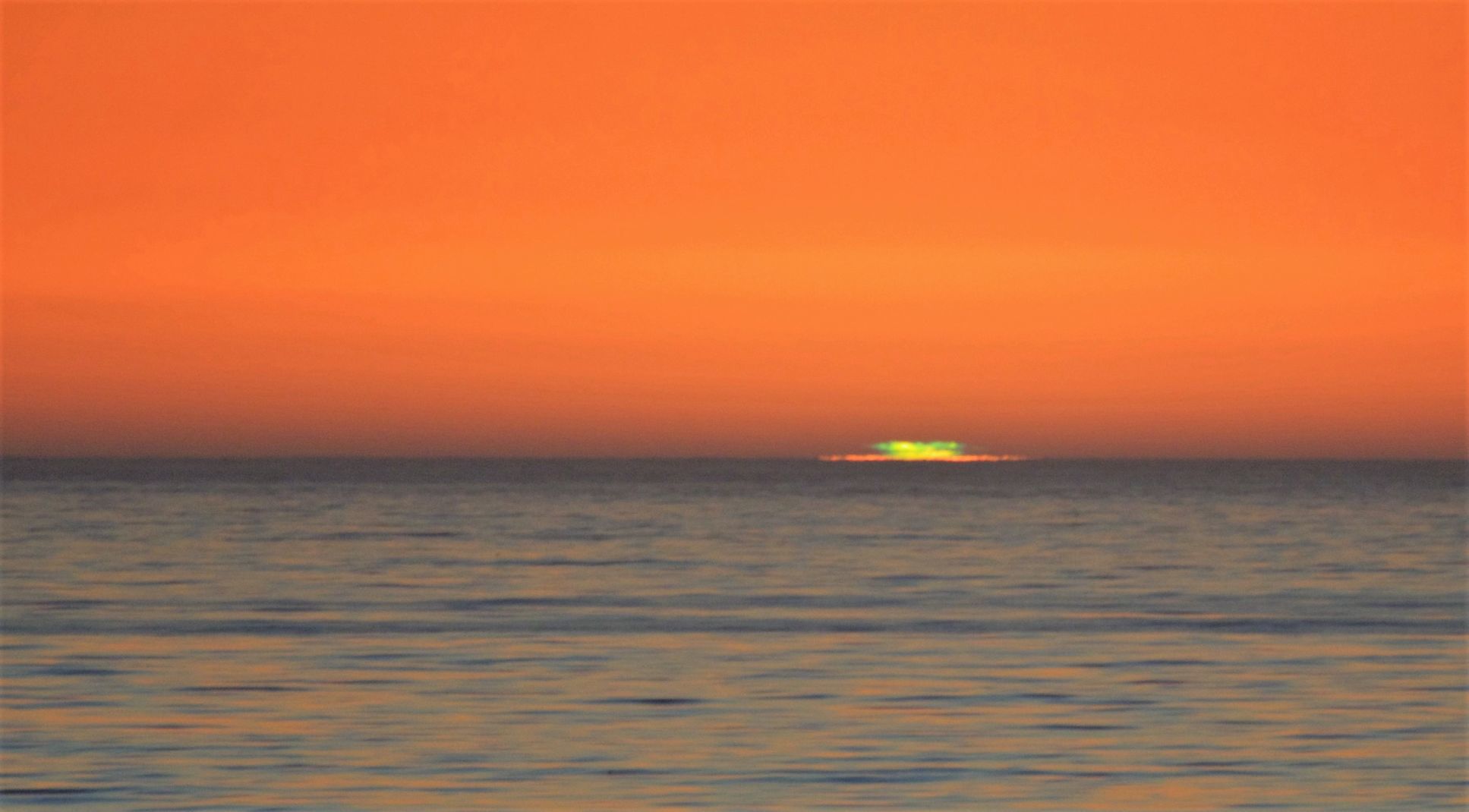 【ぶりぶり君】CRDH 80% LIVELINE-Orange Sunset 5d24d69d0b04b.image.jpg?crop=