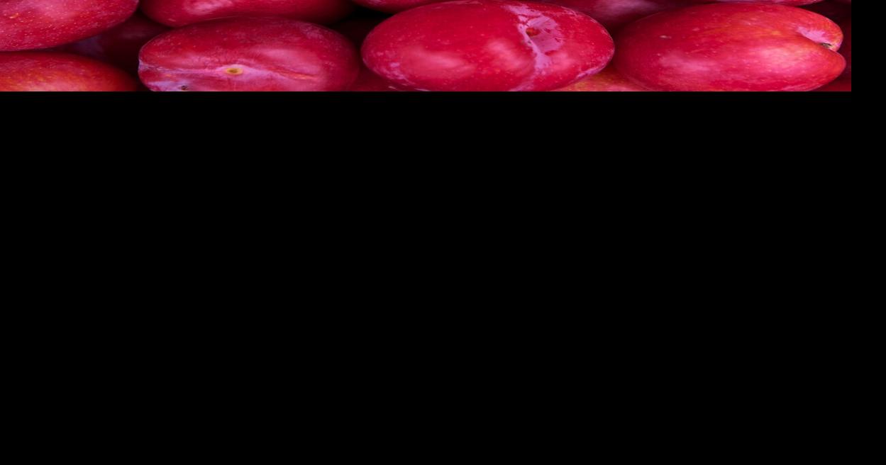 Wildlife also enjoys summer fruit | Tony Tomeo