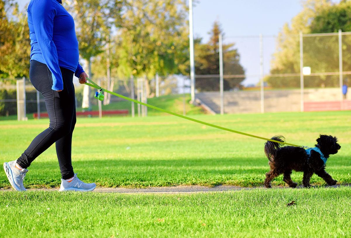 A dog and owner use the designated path along Minami Community Park Friday evening in Santa Maria.