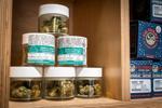 011122-SF-CANNABIS-MHN-CM-07.jpg