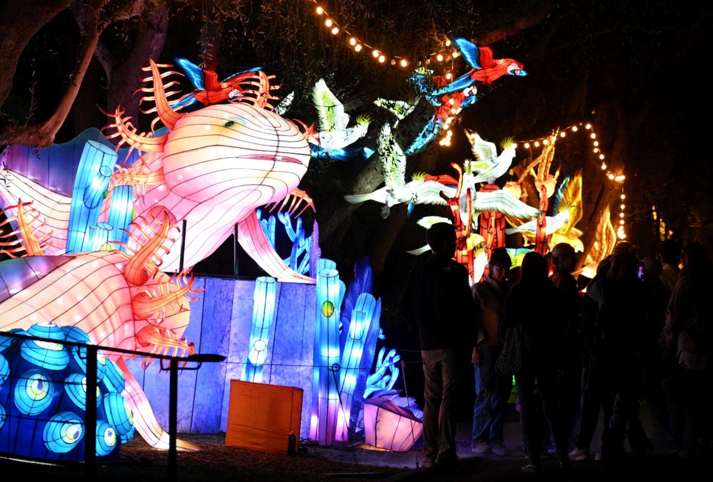 16+ Zoo Lights Santa Barbara
