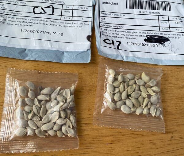 Seeds from China