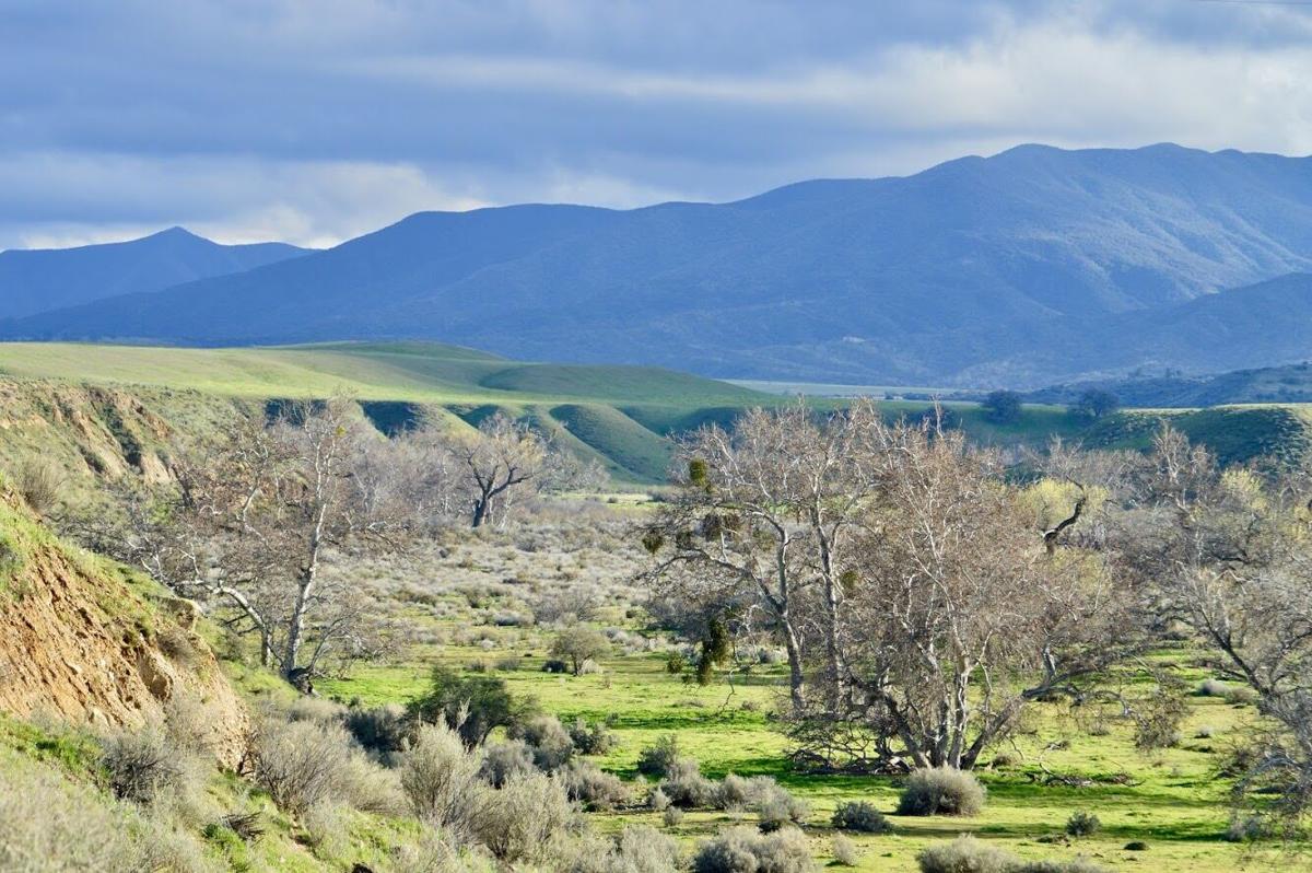 Federal oil leasing plan draws widespread opposition along Central Coast