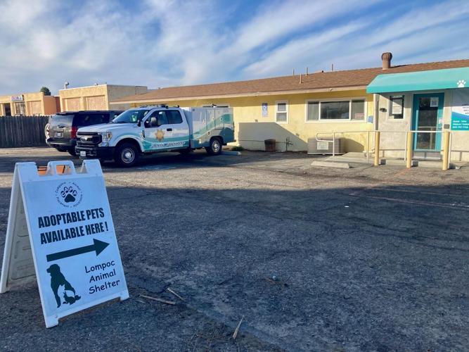 'Help us get back' Lompoc Animal Shelter reopens doors in effort to