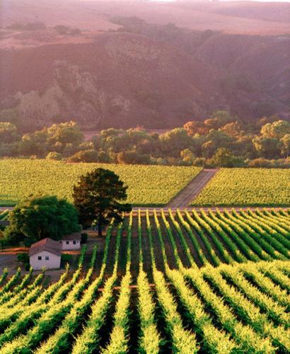 Alisal Ranch - Santa Barbara County Vintners
