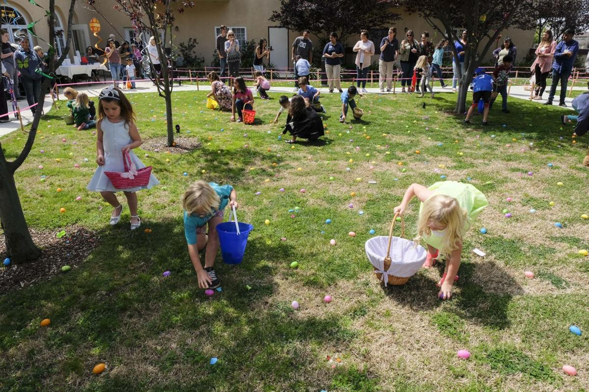 Kids Of All Ages Hop Over To Merrill Gardens In Santa Maria For Kids Of All Ages Hop Over To Merrill Gardens In Santa Maria For Annual Easter Egg Hunt Local News Santamariatimes Com