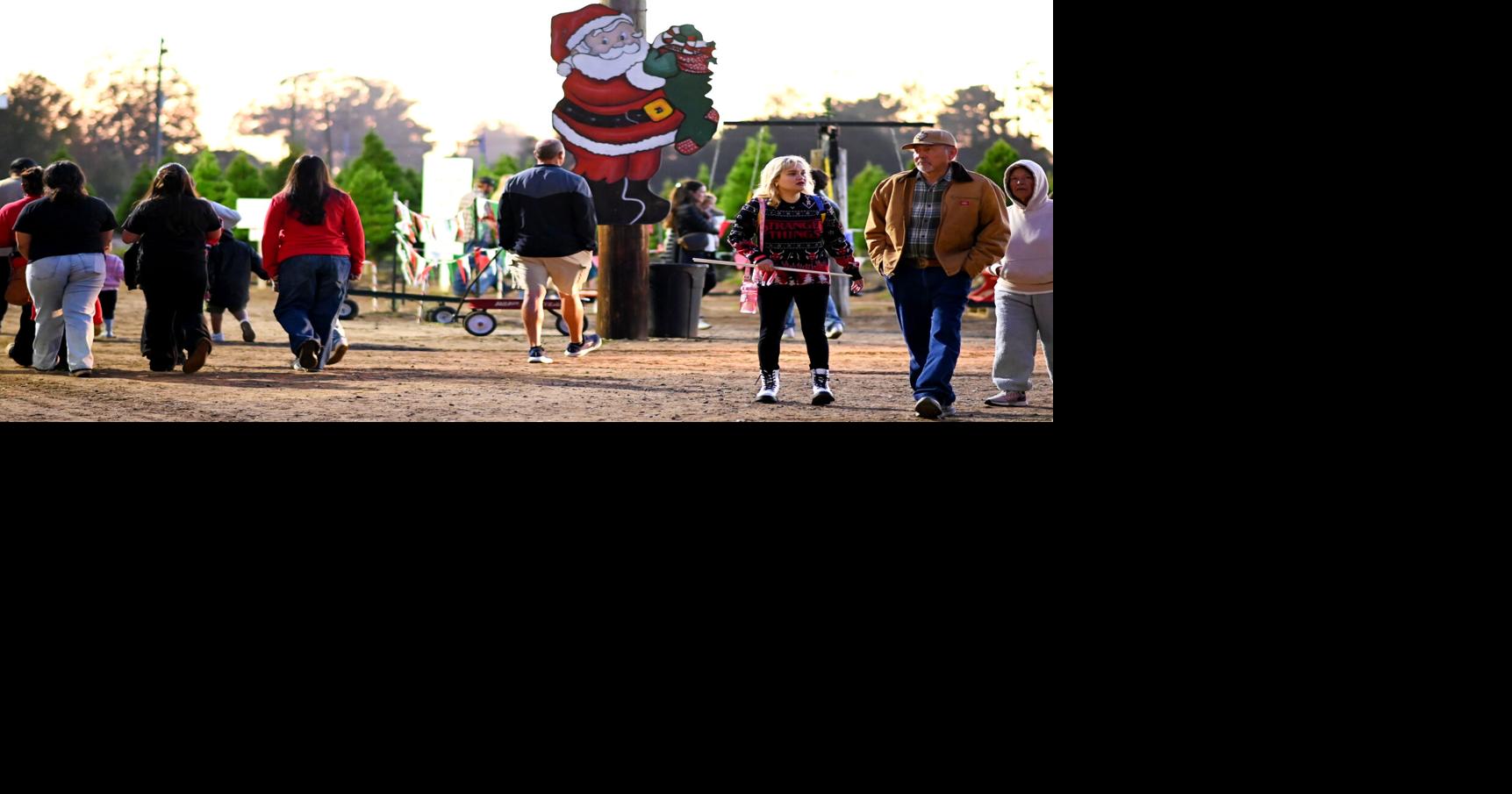 Holloway's Christmas Tree Farm in Nipomo returns for the holidays ...