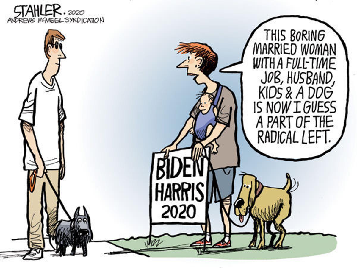 Editorial Cartoon Biden Harris Editorial Santamariatimes Com