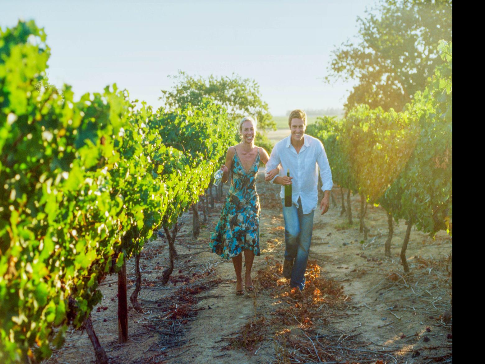 Gallery What A Bounty Wines Of Santa Barbara County Local News Santamariatimes Com