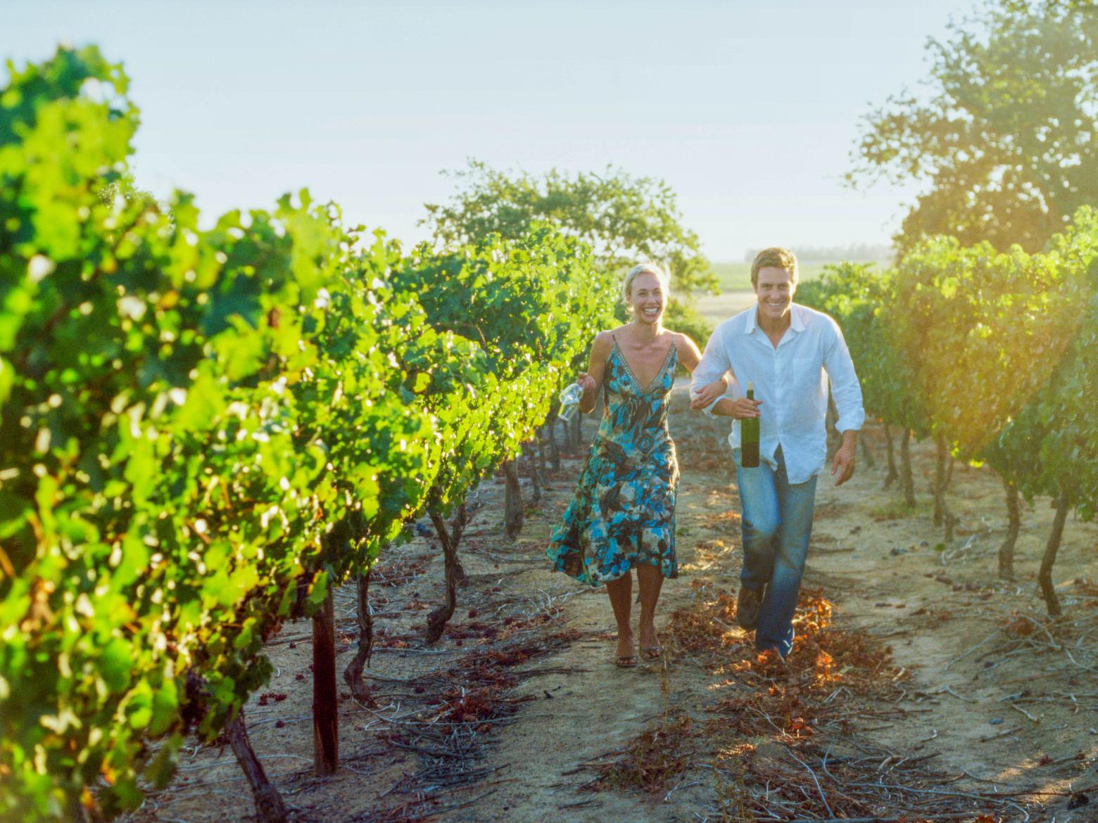 Gallery What A Bounty Wines Of Santa Barbara County Local News Santamariatimes Com